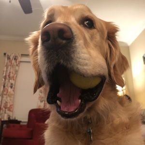 Meet your Posher, Dana